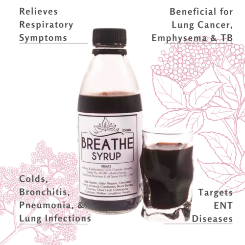 Herbology Breathe Syrup: Remedy for Respiratory Health