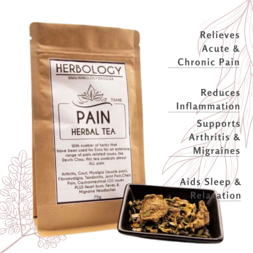 Herbology Pain Tea: Natural Relief for Chronic Pain & Inflammation