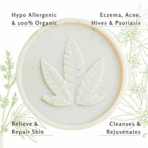 Herbology Dope Soap: CBD Infused Healing Soap