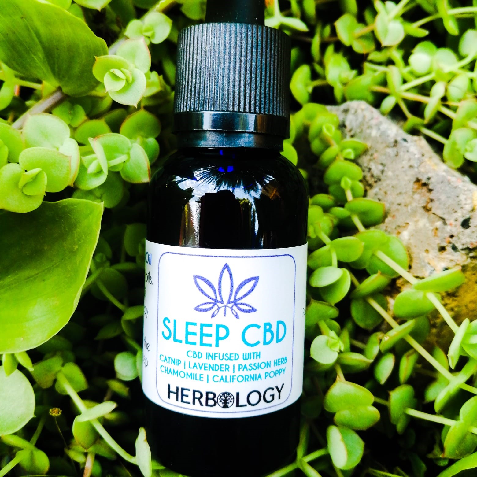 Herbology Sleep CBD oil to transport you to peacefully to dreamland