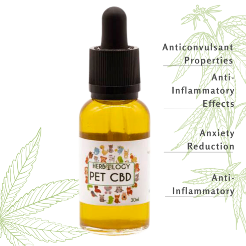 Herbology CBD Pet Oil: Natural Wellness for Your Beloved Pets