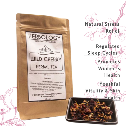 Herbology Wild Cherry Tea: Potent Women’s Wellness Blend