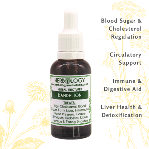 Herbology Dandelion Tincture: Natural Wellness & Detox