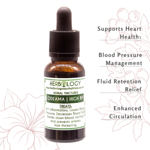 Herbology High Blood Pressure / Oedema Tincture: Natural Cardiovascular Support