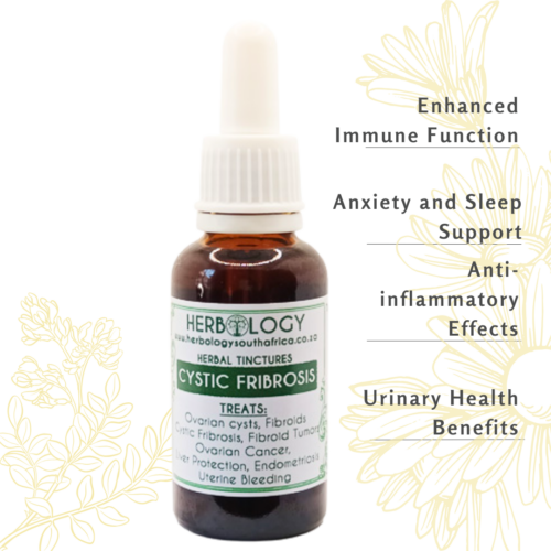 Herbology Cystic Fibrosis Tincture: For Cystic Fibroids, and Endometriosis