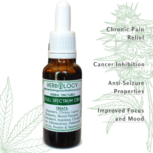 Herbology CBD Tincture: Wellness for the Whole Family
