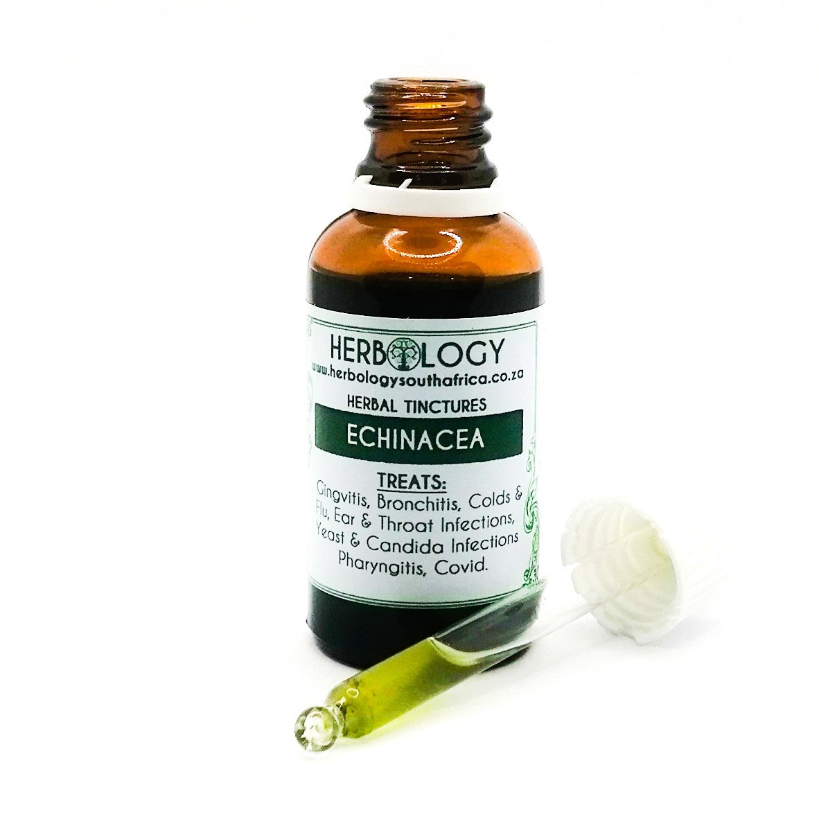 Echinacea Tincture Herbology South Africa