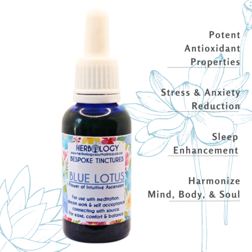 Herbology Blue Lotus Tincture : Health, Harmony, and Higher Connection