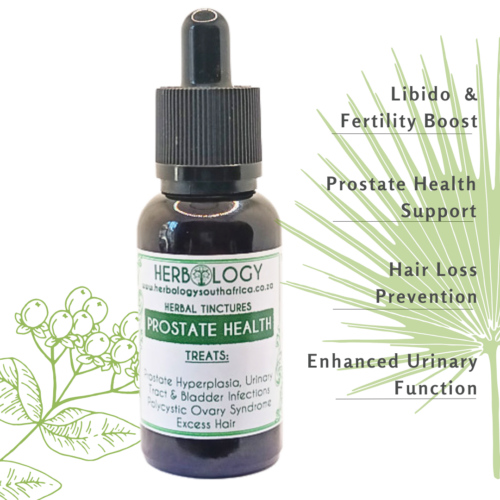 Herbology Prostate Health Tincture: Comprehensive Care for Male Vitality