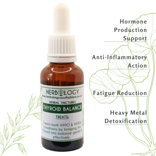 Herbology Thyroid Balance Tincture: Restoring Harmony to Thyroid Function