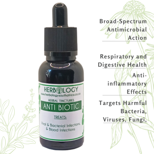 Herbology Antibiotic Tincture: Broad-Spectrum Antimicrobial