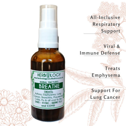 Herbology Breathe Tincture: Comprehensive Respiratory Health