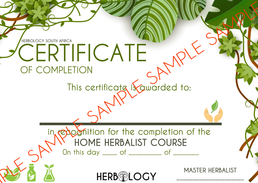 Herbology Herbal Medicine Herbology South Africa