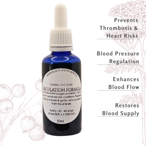 Herbology Circulation Tincture: Healthy Heart and Circulatory System