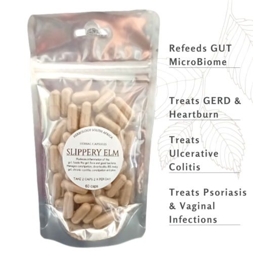 Herbology Slippery Elm Caps: A Natural Boost for Gut Health