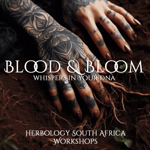 Blood & Bloom